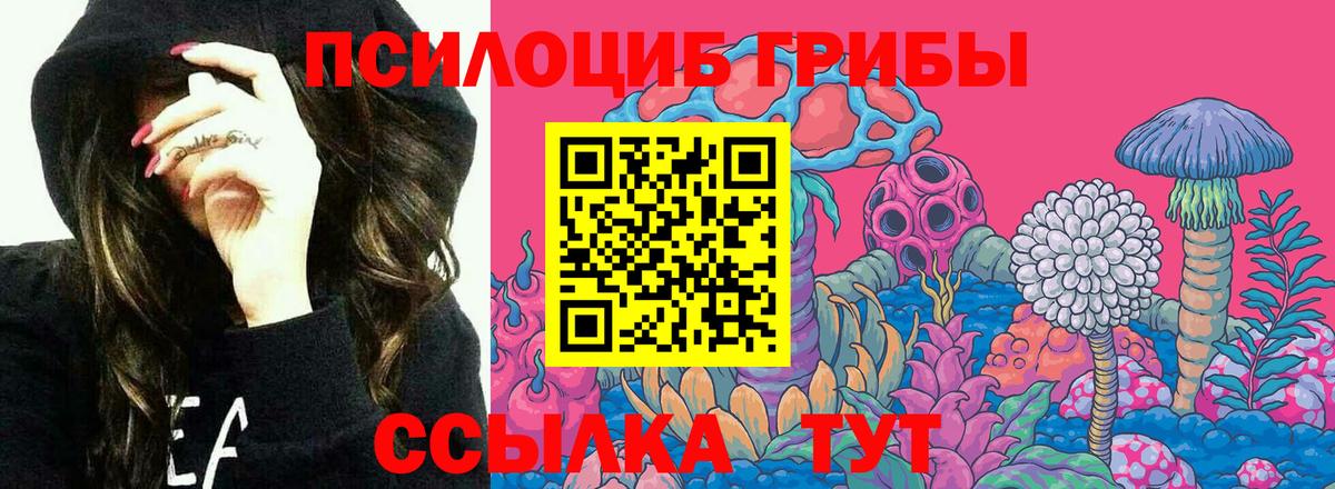 Белорецк  Псилоцибиновые грибы Psilocybe  закладка  Вход с VPN 